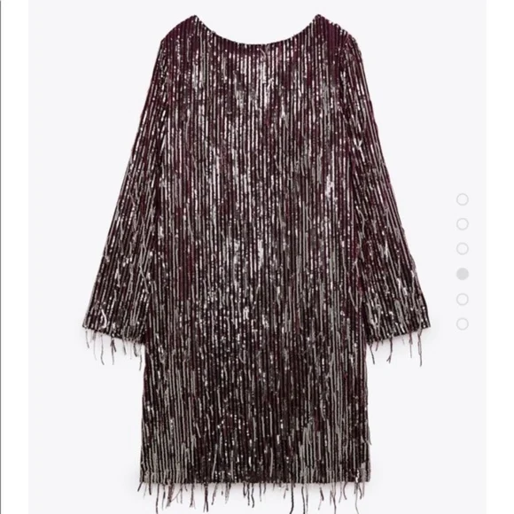 NWT Zara Fringe Sequin Mini Dress, Burgundy - Picture 5 of 5